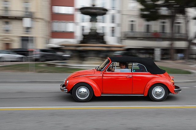 foreign-grain-beetles-beetle-640x480-35519310.jpeg