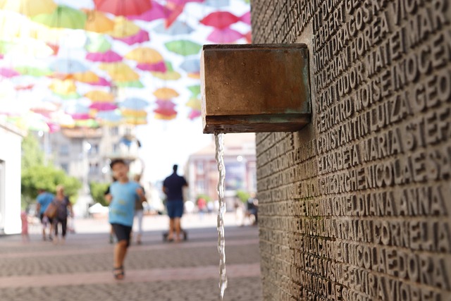 Fountain Maintenance: From Installation to Professional Repair Services