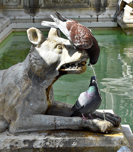 fountain, outdoor fountain