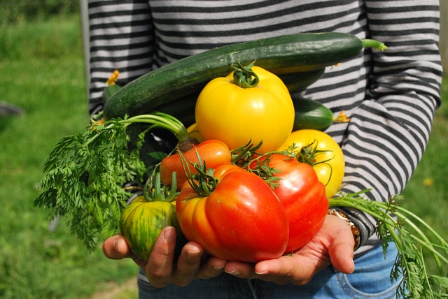 garden-640x480-11556250.jpeg