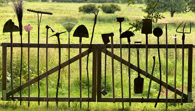 garden-640x480-15985136.jpeg