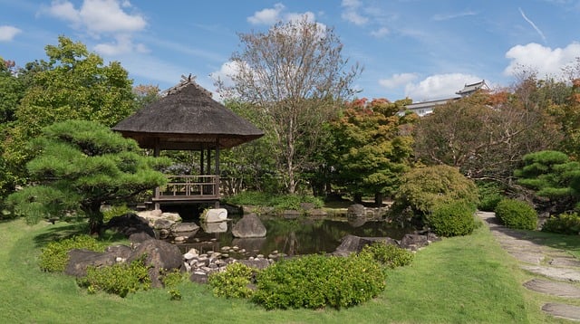 garden-640x480-37742975.jpeg
