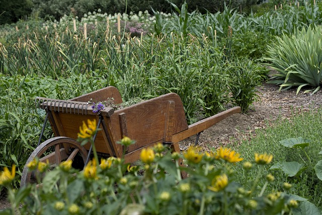 garden