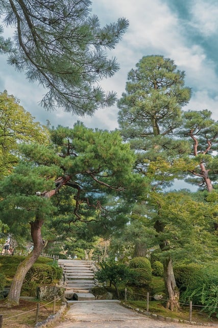 garden-640x480-50935557.jpeg