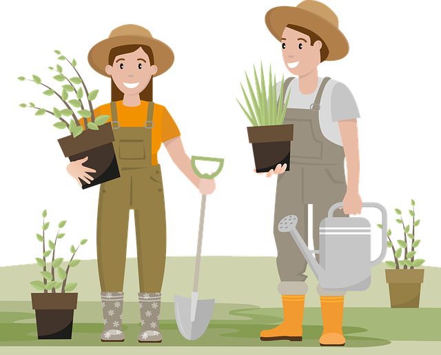 garden-640x480-65710067.png