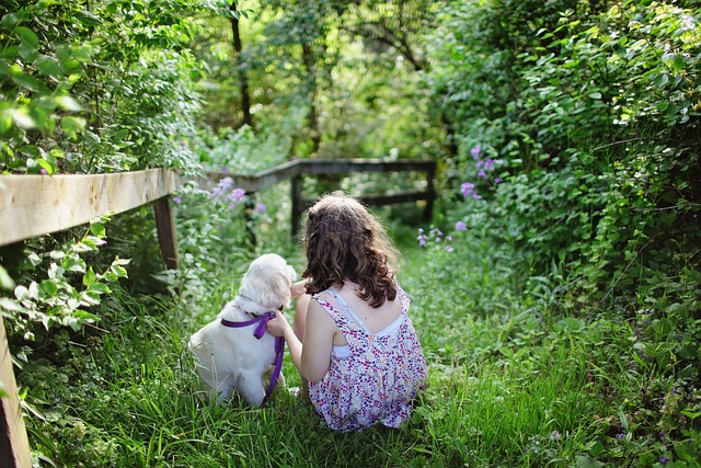 garden-640x480-65752425.jpeg