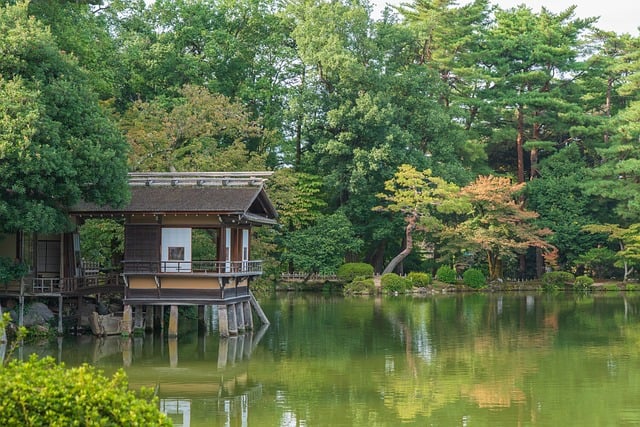 garden-640x480-92971686.jpeg