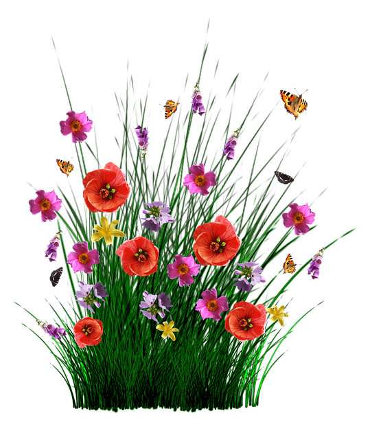 garden, wall garden, vertical garden