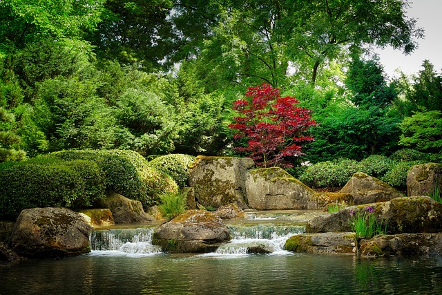 garden-wall-garden-vertical-garden-640x480-75902991.jpeg