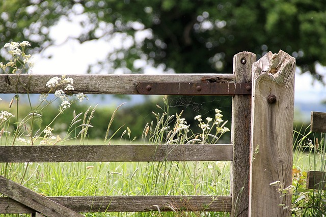 gate-640x480-27083742.jpeg