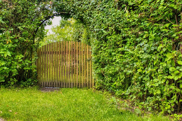 gate-640x480-39320218.jpeg