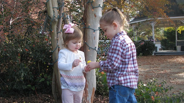 gazebo-640x480-6654200.jpeg