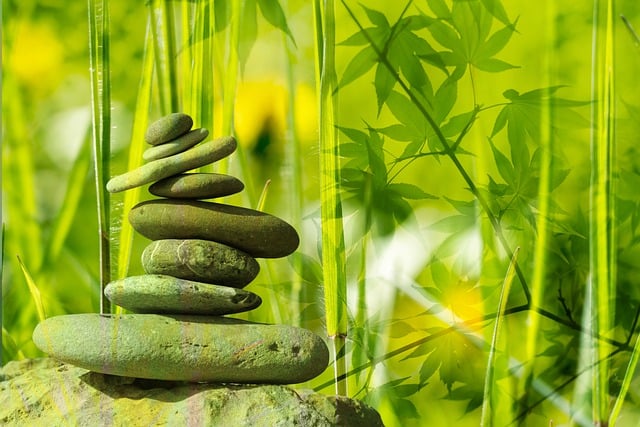 health and wellness