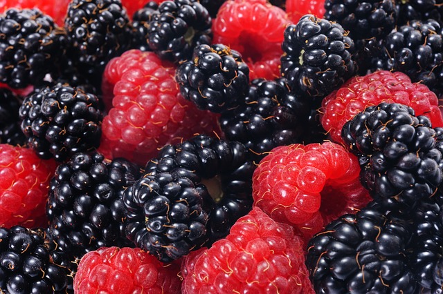 health-and-wellness-640x480-29652240.jpeg