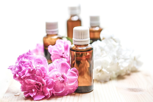 Nature-Based Stress Relief Workshops Led by Top Wellness Experts