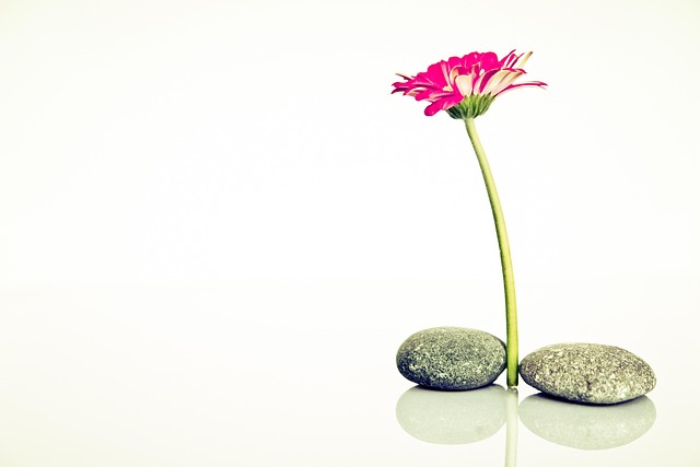 PRP Therapy: Boosting Cellular Function for Long-Term Fatigue Relief