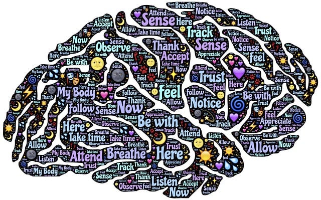 Personalized Aging: Unlocking Vitality through Cellular Health Optimization