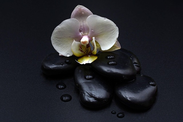 health and wellness