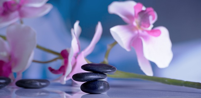 health and wellness