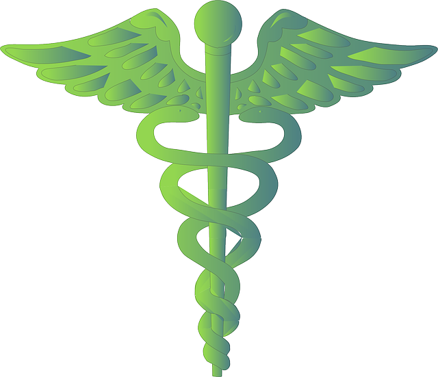health and wellness