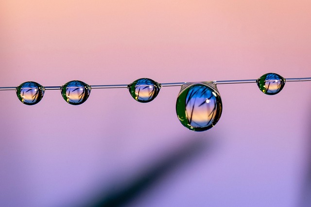 Boost Your Home’s Energy Efficiency: DIY Windows & Beyond