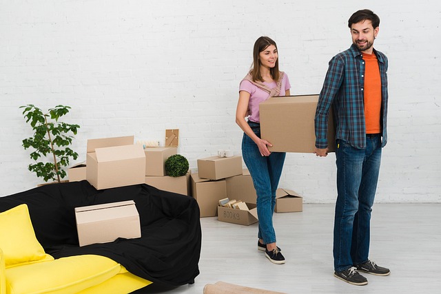 Upgrading Insulation: An Eco-Friendly Remodeling Guide for Energy Efficiency