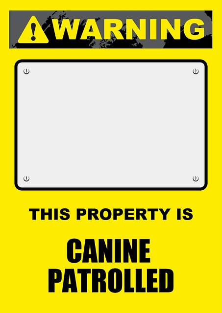 home security