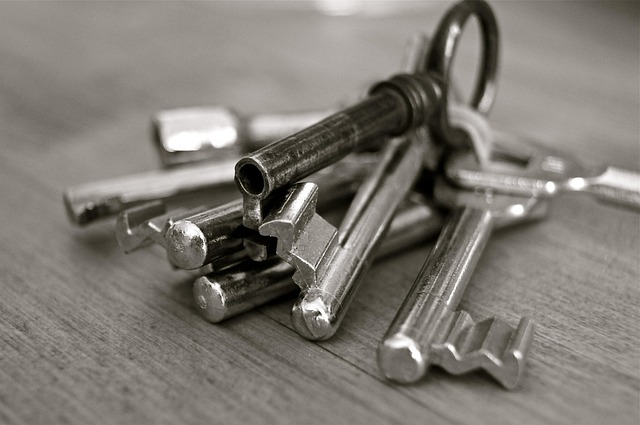 home security
