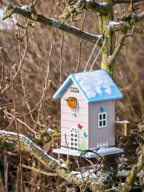 home security