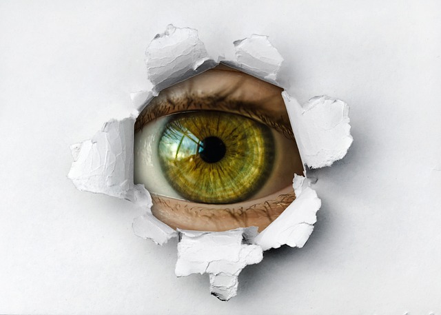 home-security-cctv-surveillance-house-640x480-24625610.jpeg