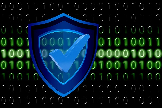 home security, cctv, surveillance, house
