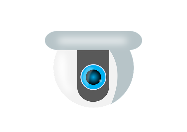 home security, cctv, surveillance, house
