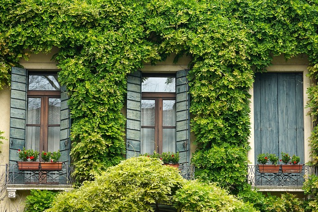 home security, home