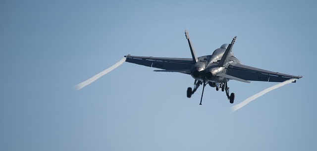 hornet-640x480-57440748.jpeg