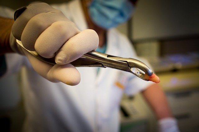hospital-clinic-hospital-tools-640x480-51384060.jpeg