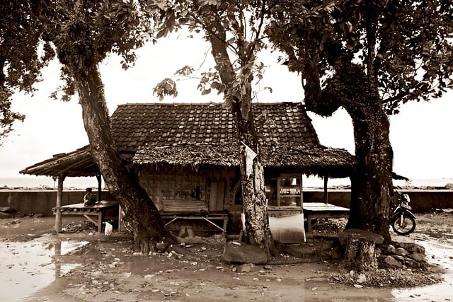 house