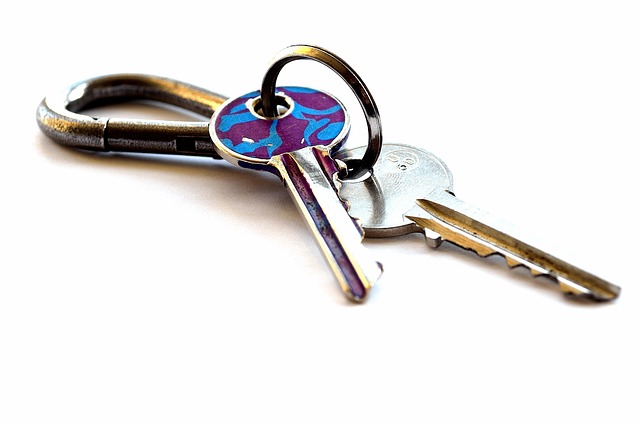 Professional Monitoring: Secure Remote Homes with Wireless Solutions