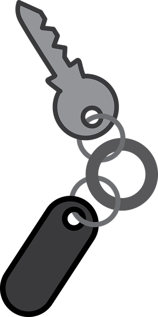 Streamlining Urban Security: Mobile Apps for Real-Time Home Monitoring