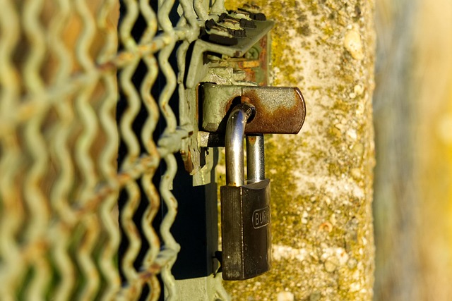 house-door-lock-home-security-home-lock-640x480-16945010.jpeg