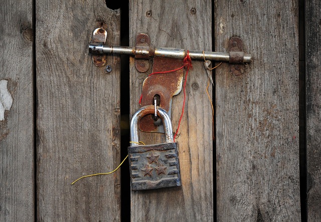 Noise-Sensitive Alarms: Urban Home Security Solutions for Peaceful Coexistence