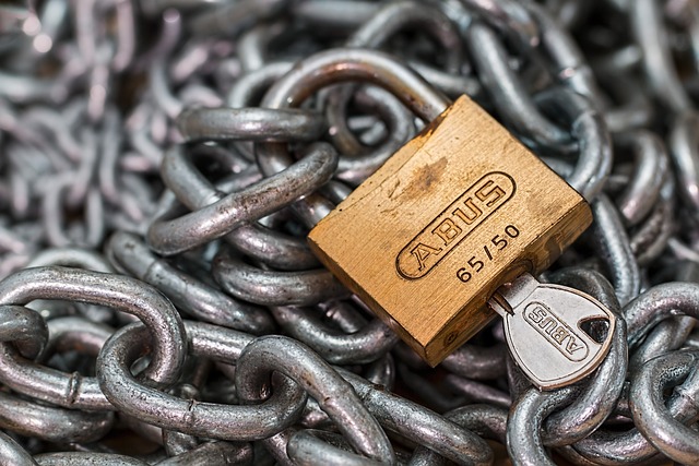 Tailored Home Security: Parental Controls for Peace of Mind
