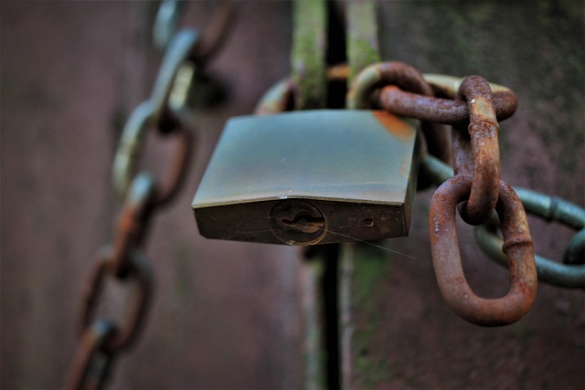 Smart Locks Revolutionize Rental Safety: A Comprehensive Guide to Installation and Security