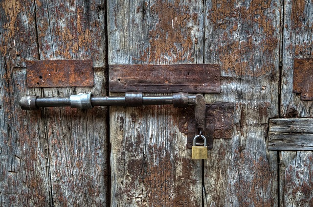 Child-Safe Security Solutions: Protecting Families Through Multi-Layered Measures