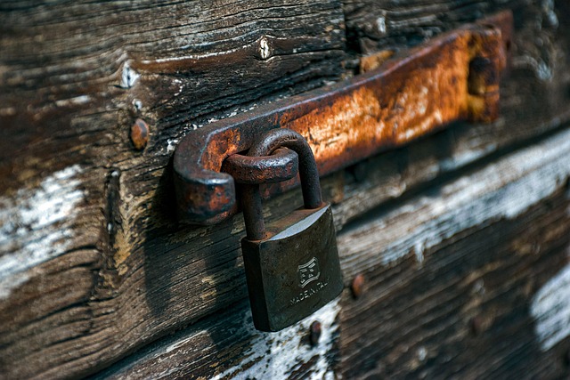 Secure Living: Medical Alert Systems for Caregiver-Friendly Home Safety