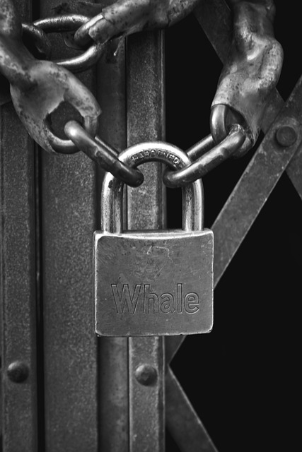 house, door lock, home security, home lock, apartment, condominium