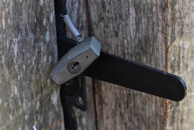 house, door lock, home security, home lock, apartment, condominium, surveillance