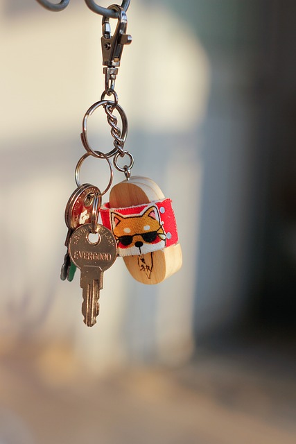 house, door lock, home security, home lock, apartment, condominium