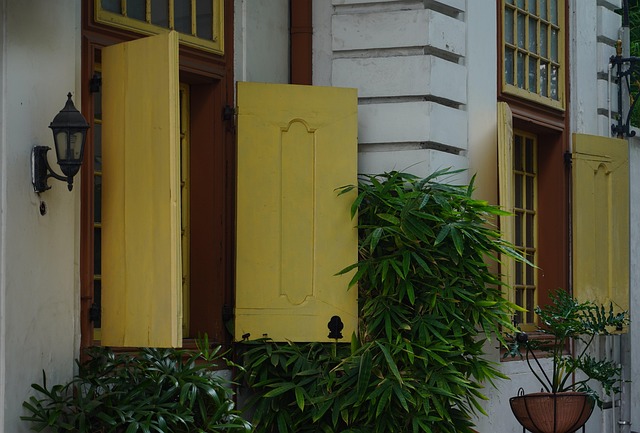 Optimize Your Space: Expert Guide to Energy-Efficient Window Upgrades
