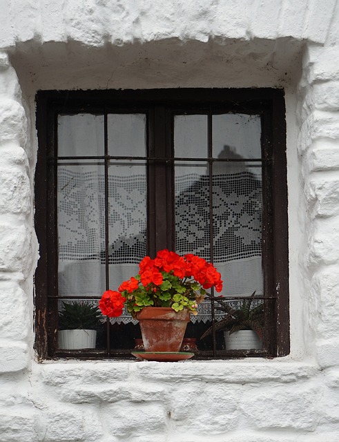 Elevate Spaces: Custom Window Design Services for Tailored Living