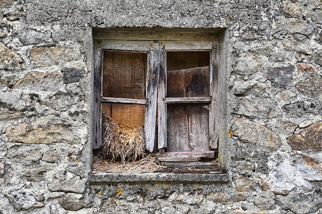 house-window-window-640x480-97988519.jpeg